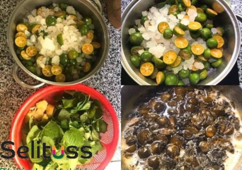 TRỊ HO CÓ ĐỜM BẰNG SIRO HO CHO BÉ SƠ SINH 2 THÁNG TUỔI VÀ CÁC THẢO DƯỢC KHÁC 