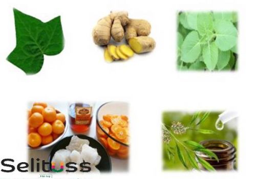 DÙNG SIRO HO THẢO DƯỢC CHO BÉ VÀ NHỮNG HIỆU QUẢ BẤT NGỜ