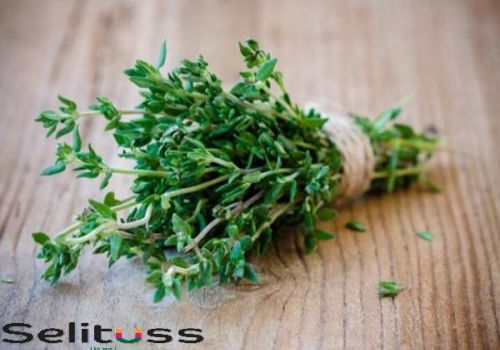 CỎ XẠ HƯƠNG - THÀNH PHẤN CHÍNH CỦA NHIỀU SIRO HO CHO TRẺ SƠ SINH