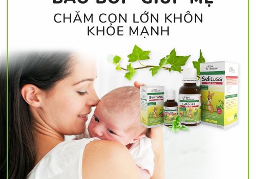 LÝ DO NÀO KHIẾN SIRO HO SELITUSS TRỞ THÀNH 