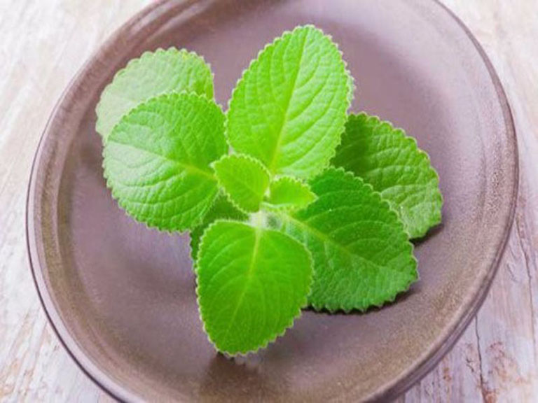 phuong-phap-giam-ho-cho-be-3