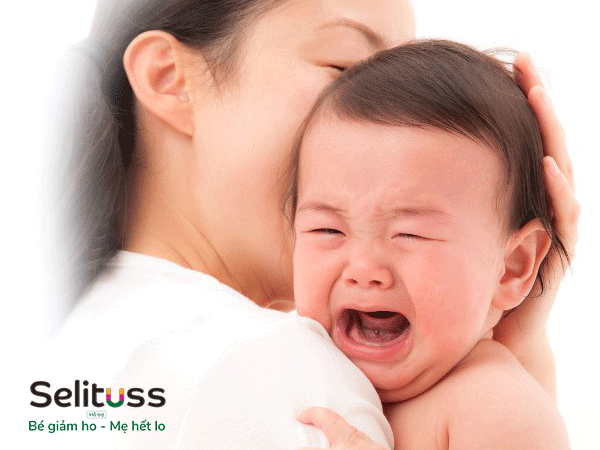 ho-do-virus-va-vi-khuan-2